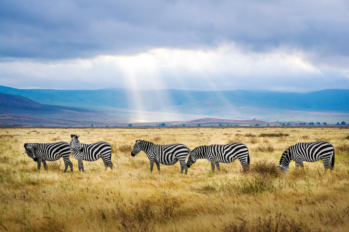 Tanzania Unlimited